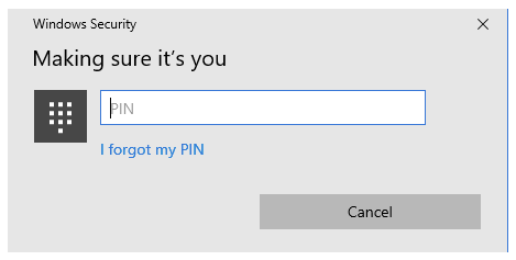 windows hello pin